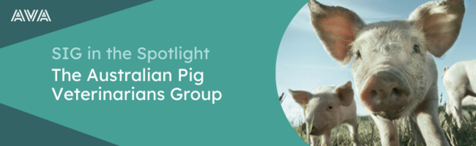 SIG in the Spotlight APV