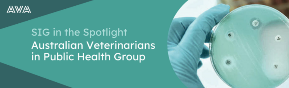 SIG in the Spotlight AVPH.png