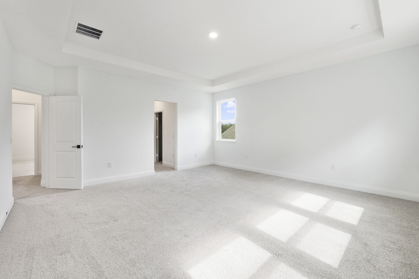 room with carpet throughout and tray ceilings 