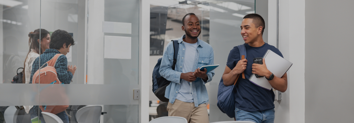 WHAT ARE THE ENTRY REQUIREMENTS FOR PLT IN AUSTRALIA?