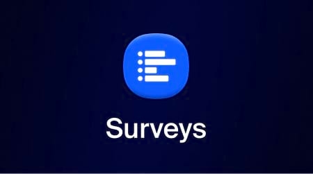 Surveys 사용자 가이드