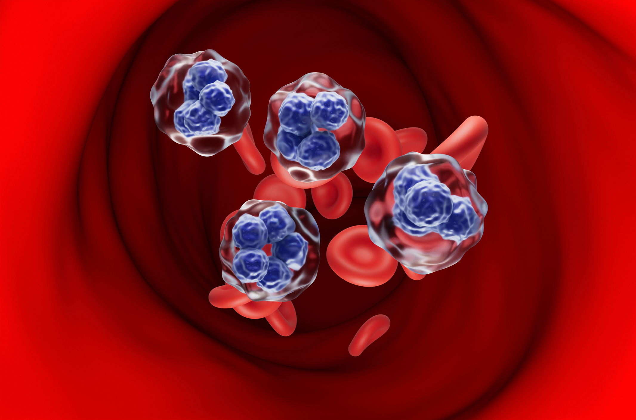 graphic of t-cell lymphoma cells in the blood