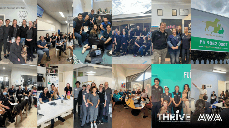 THRIVE Cultivating Safe Teams AWARE Video GIF