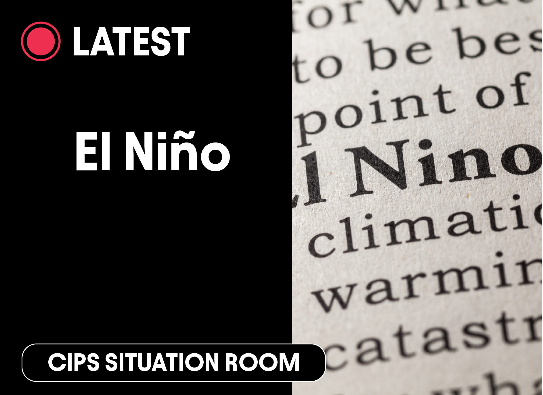 A latest updates tile graphic titled El Niño alongside a detailed macro photograph of printed news text about climate warming and catastrophe