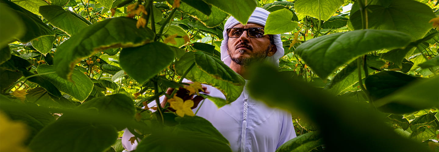 Master Every Season with This Garden Checklist | Aldar