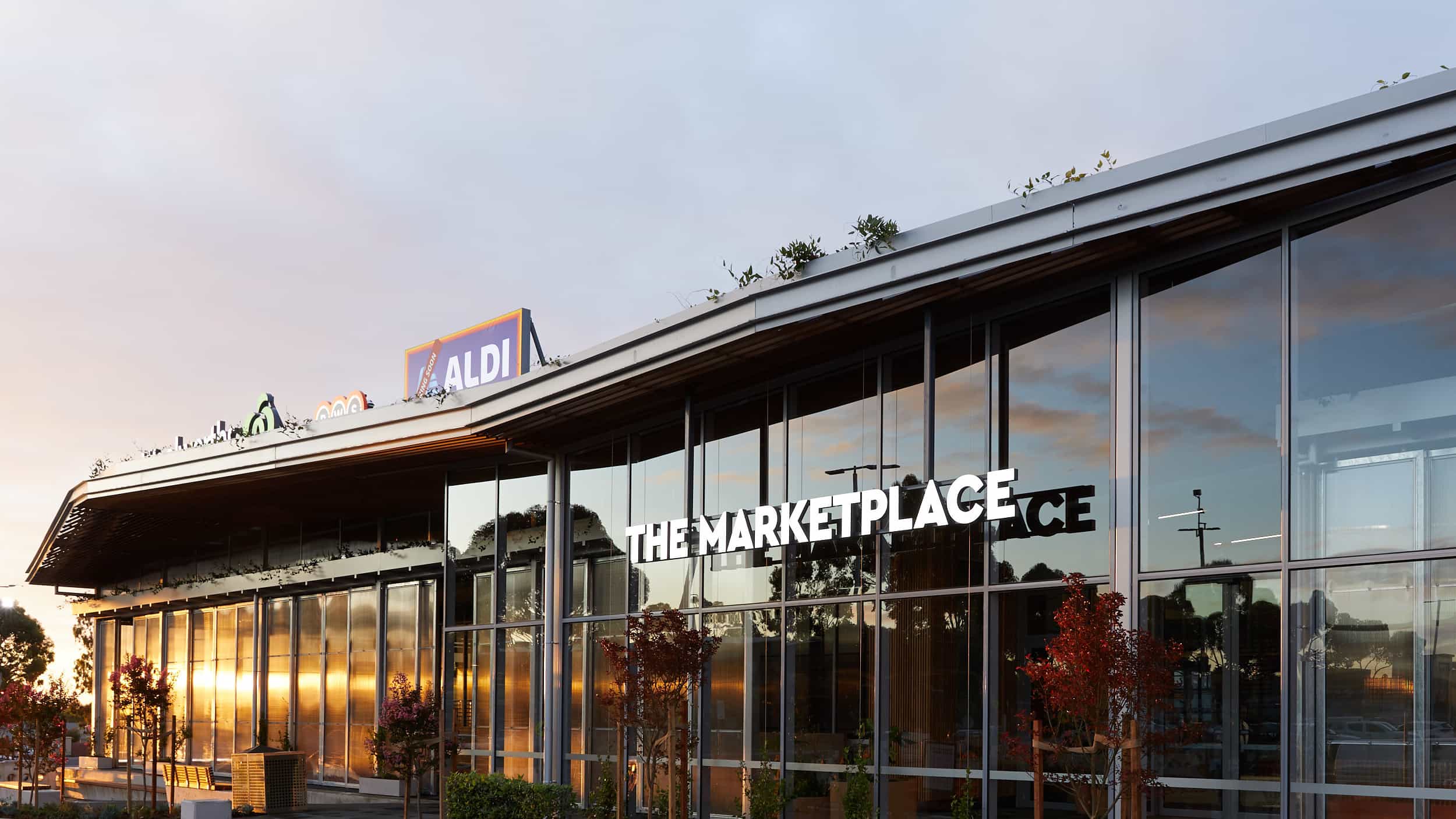 The Marketplace