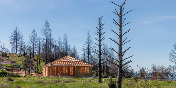 If Your Home Is Damaged by a Wildfire, These Programs May Help You Pay Your Bills Image