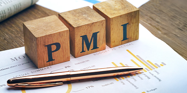 Blocks spell out PMI on a piece of paper with a gold pen in front of them.