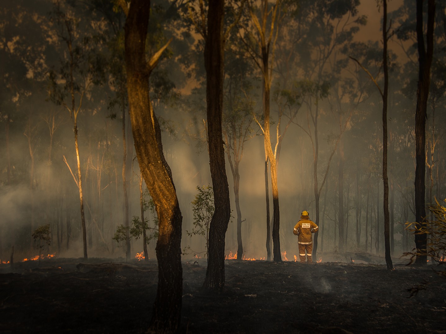 Bushfires
