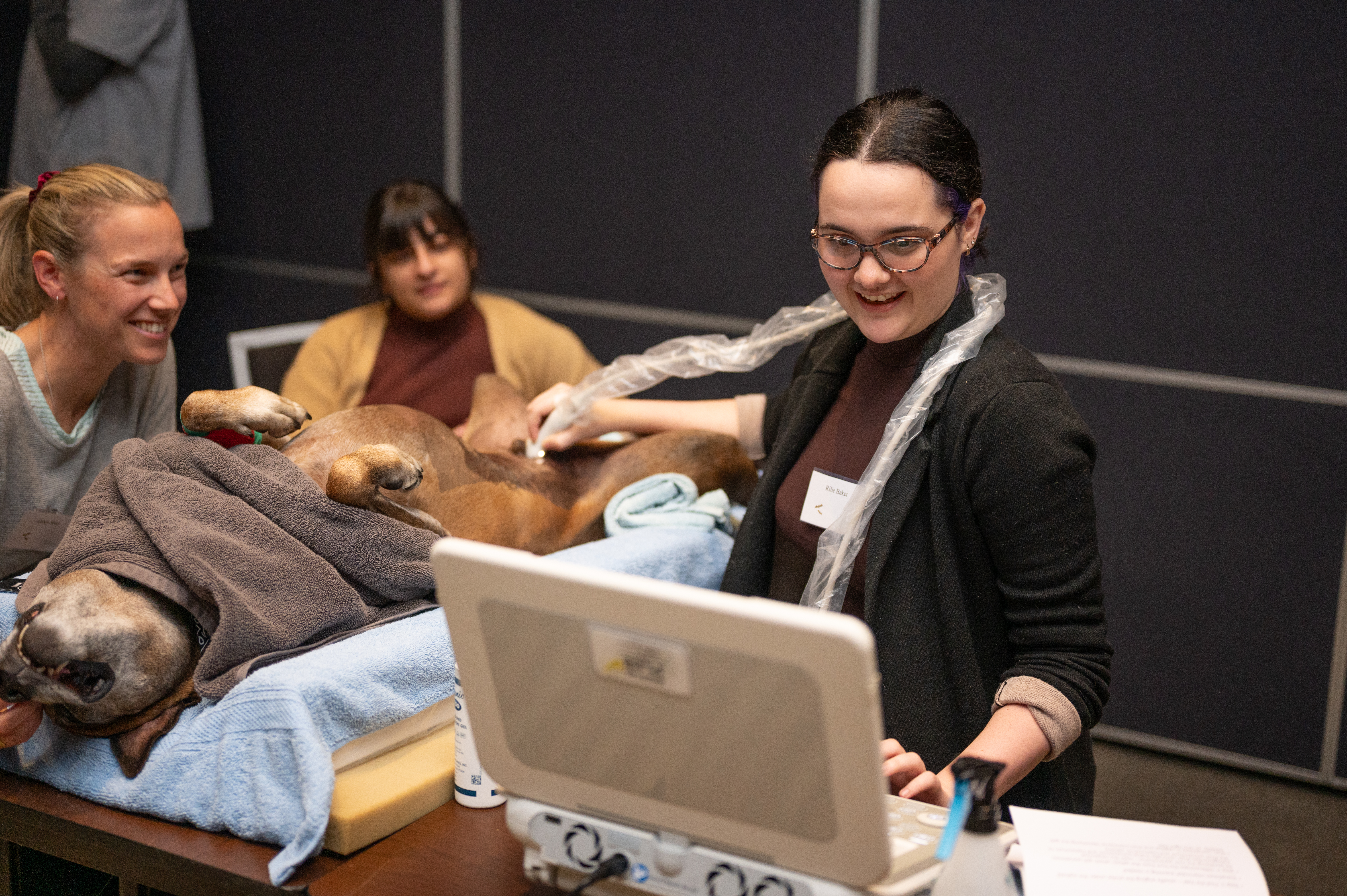 VetPrac workshop image