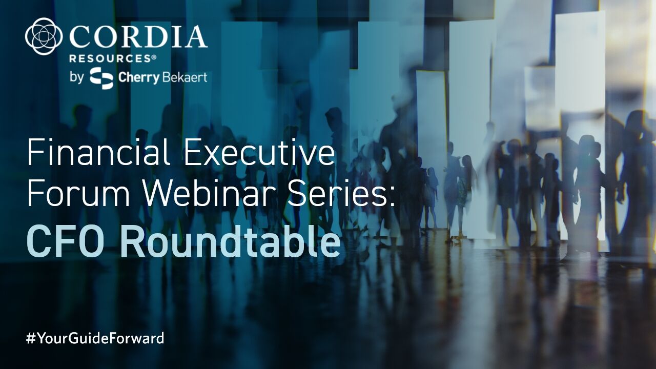 Financial Executive Forum Webinar Series: CFO Roundtable Youtube Poster