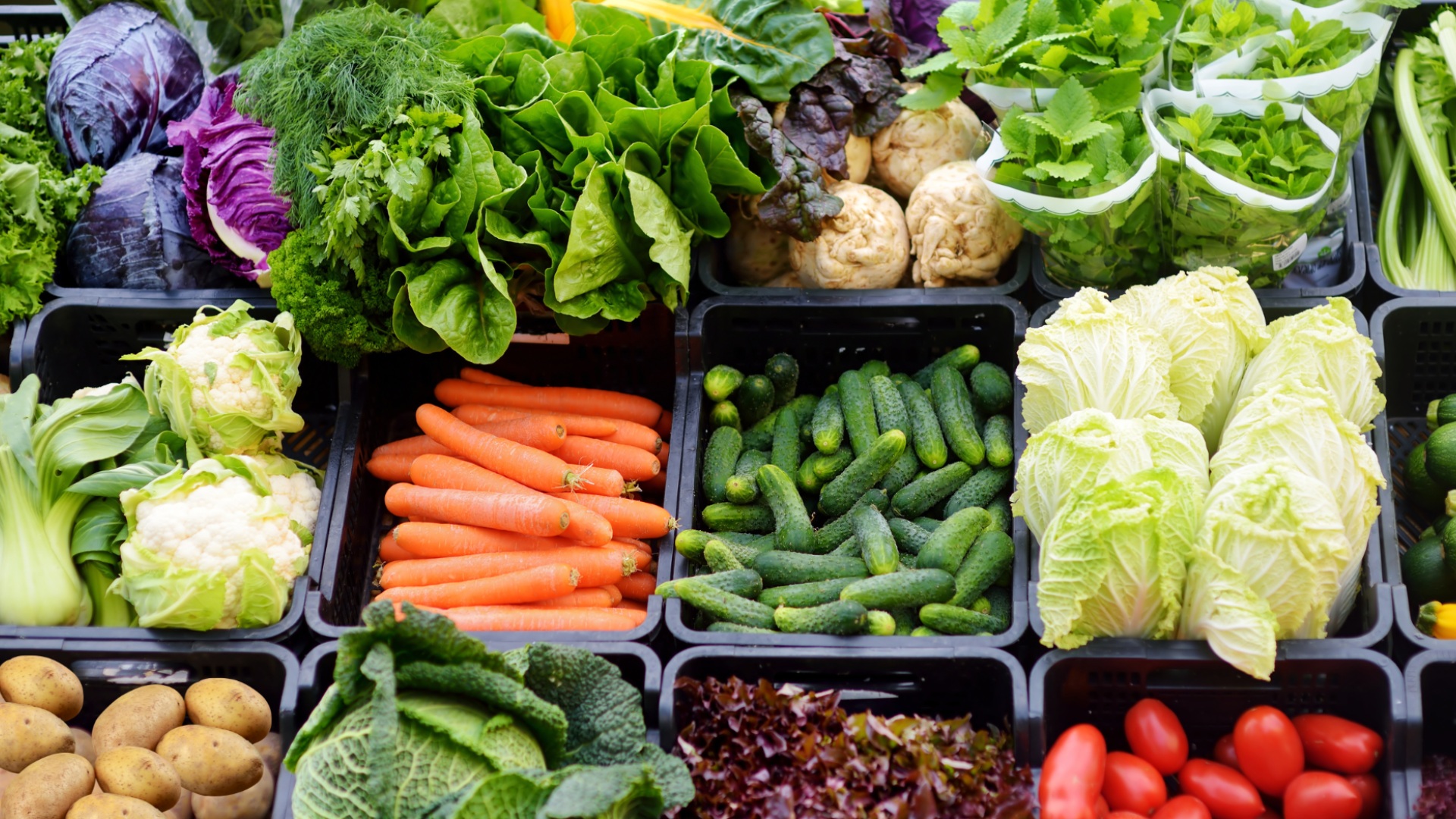 Eastern Food Rescue