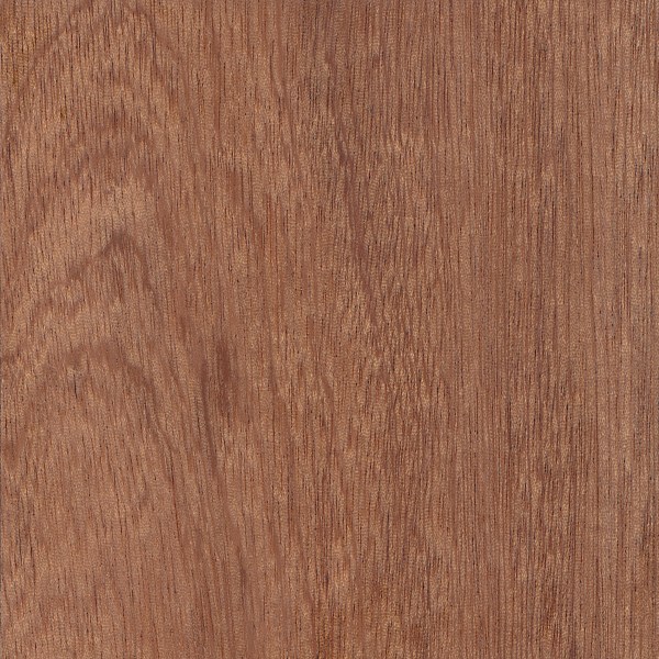 Wood_Species_Sapele_Sealed