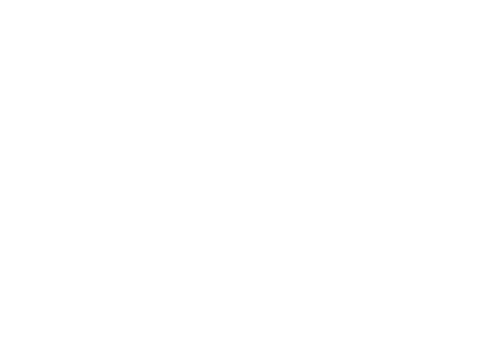Zoom One: more than business chat