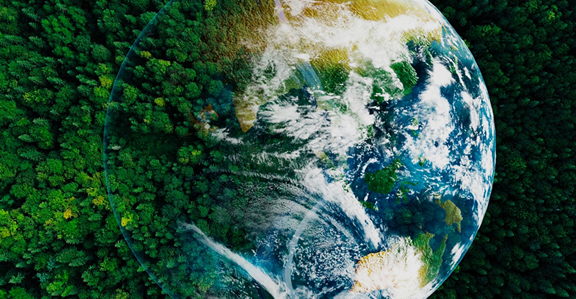 An artistic rendering of the Earth seen from space, focusing on parts of Asia and Australia, overlayed on a dark green background of dense forest canopy.