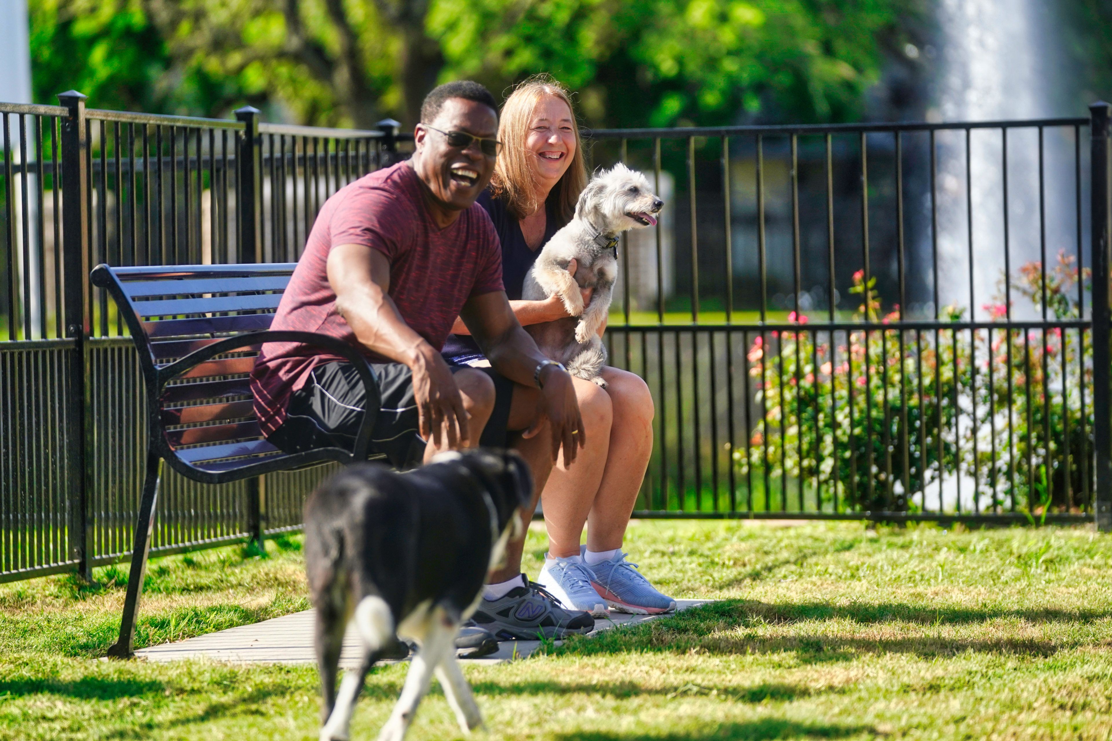 ac76b34a-aca2-4ed0-8ad8-25206aaa26df