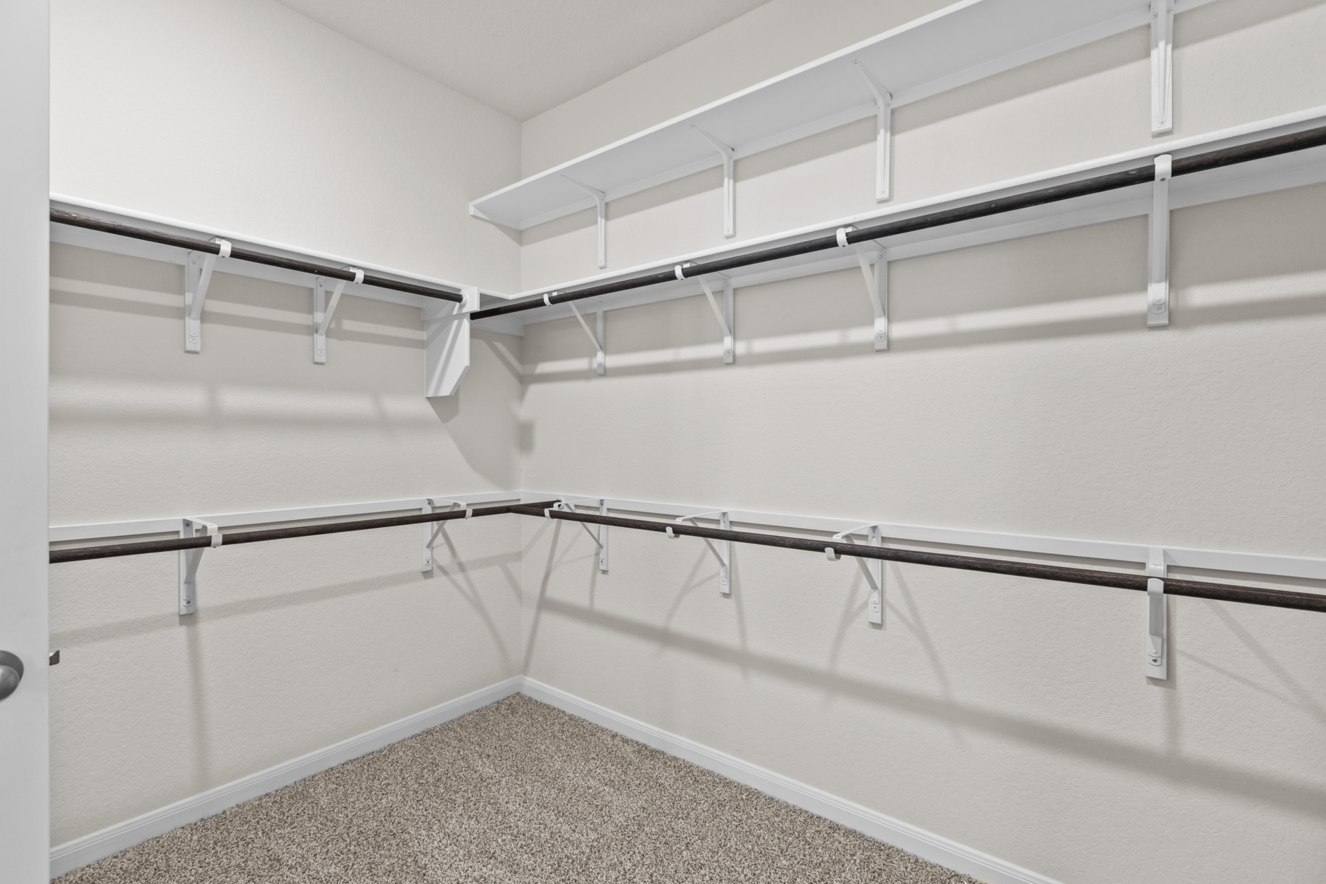 bf787e0e-9902-4183-a3ee-cd0448896689