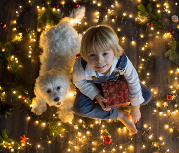 Deček sedi na tleh z ljubkim kužkom, obkrožajo pa ju novoletne lučke, pripravljene za božično okrasitev doma.