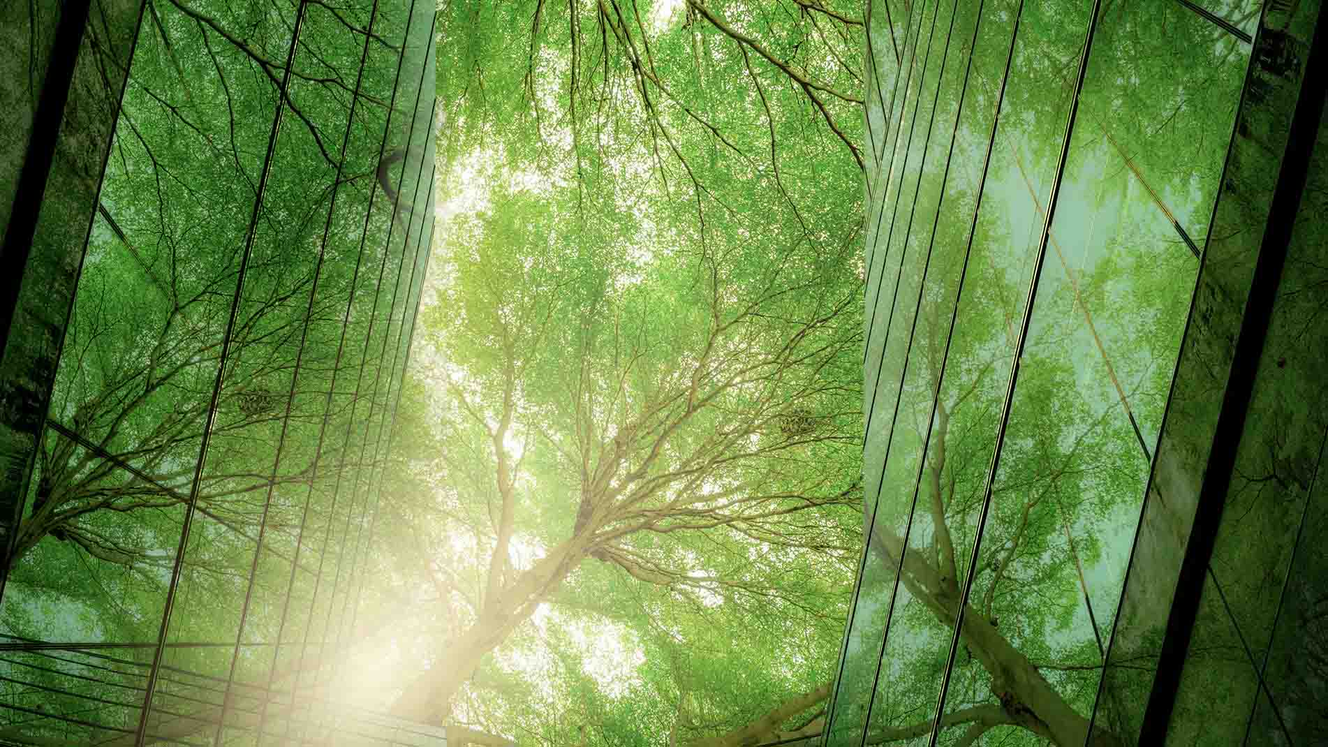 content-media-row_esg-esg.jpg ESG - Nature