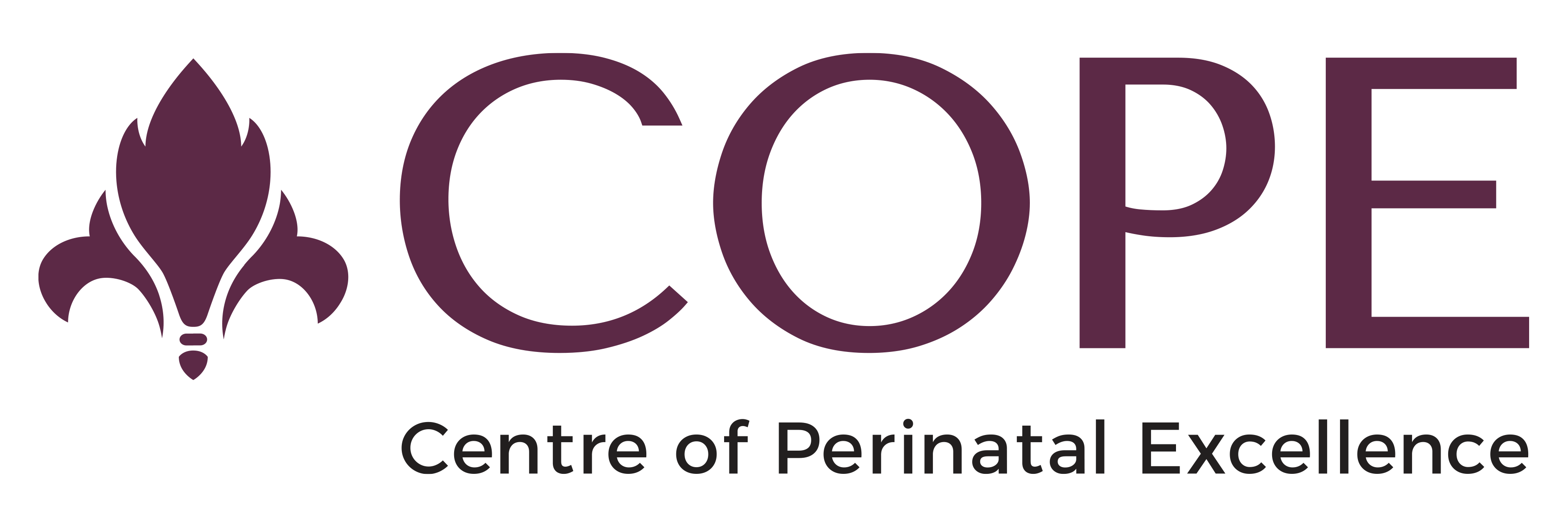 COPE - Centre of Perinatal Excellence