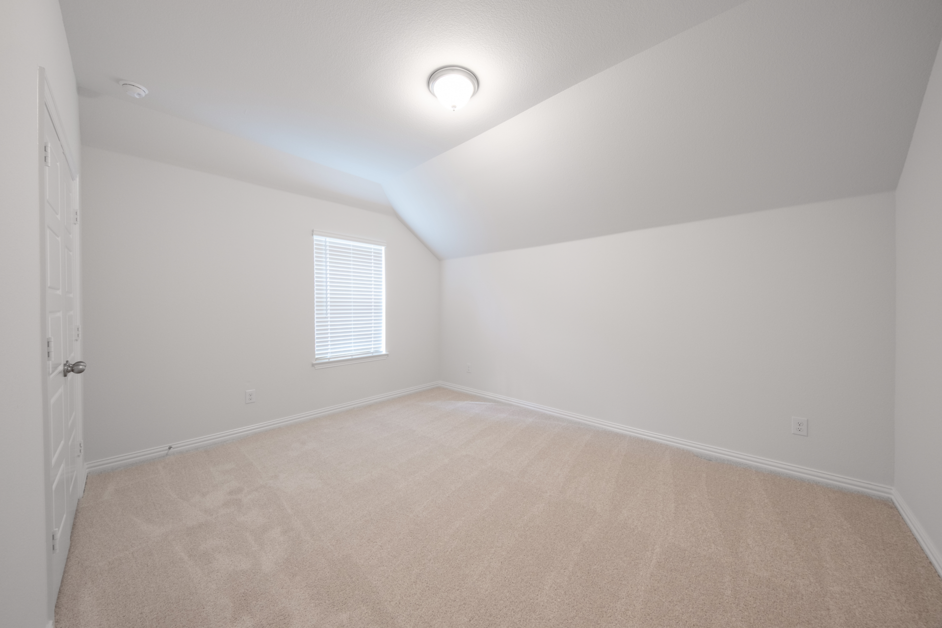 d5247acc-1daa-459e-a489-8d455fc19781