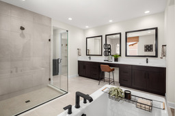 Lakemont Primary Bathroom