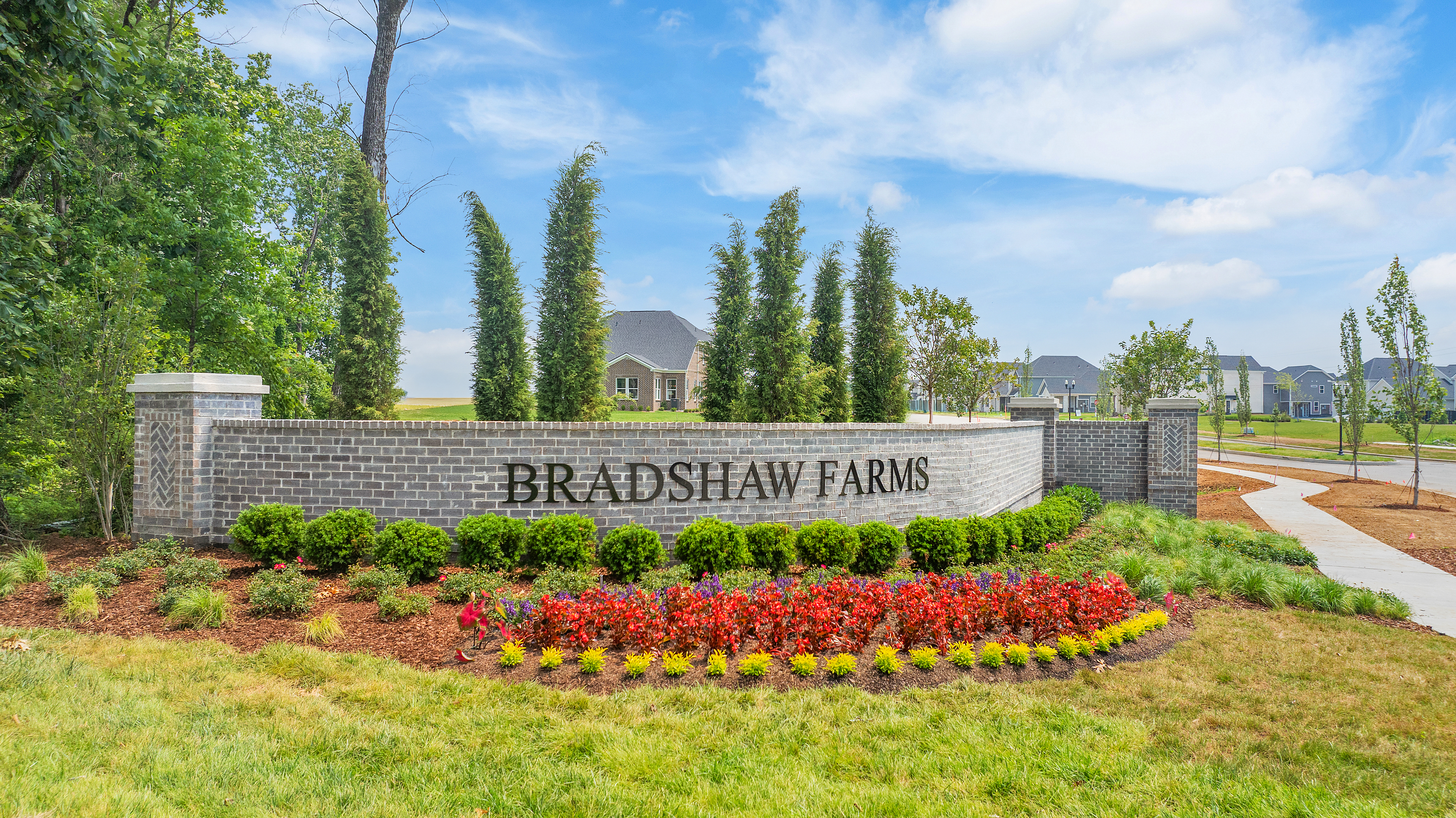 aerial overview of the community