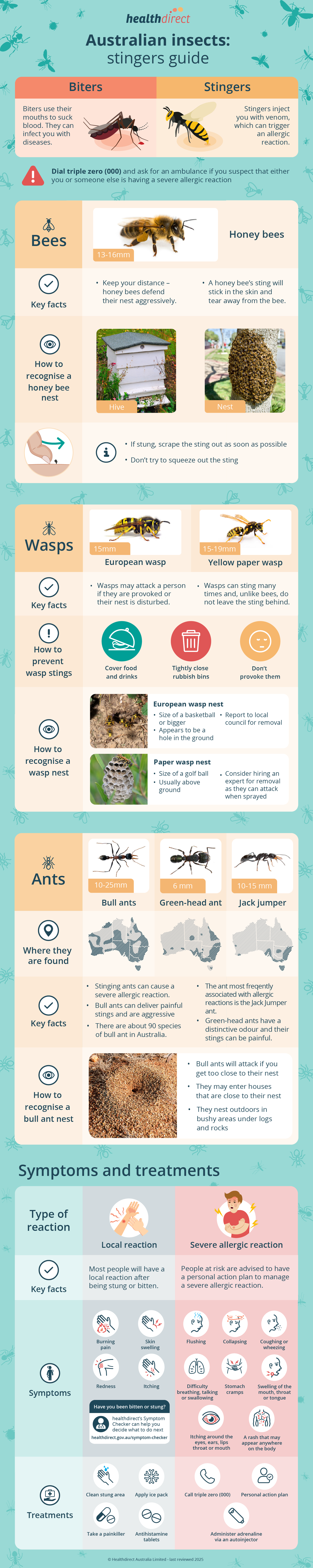 Infographic to learn more about stings of insects in Australia.