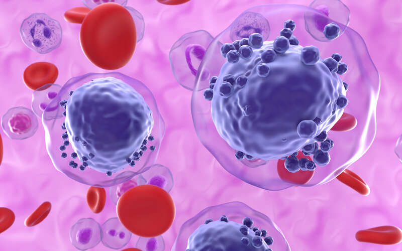 blood cancer cells