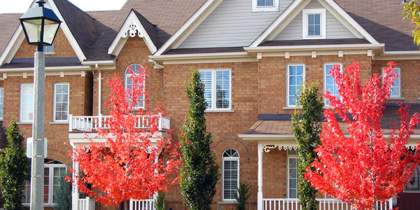 Homeowners Have $11.6 Trillion in Equity Tied to Low Rates. What It Means for Today’s Homebuyers Image