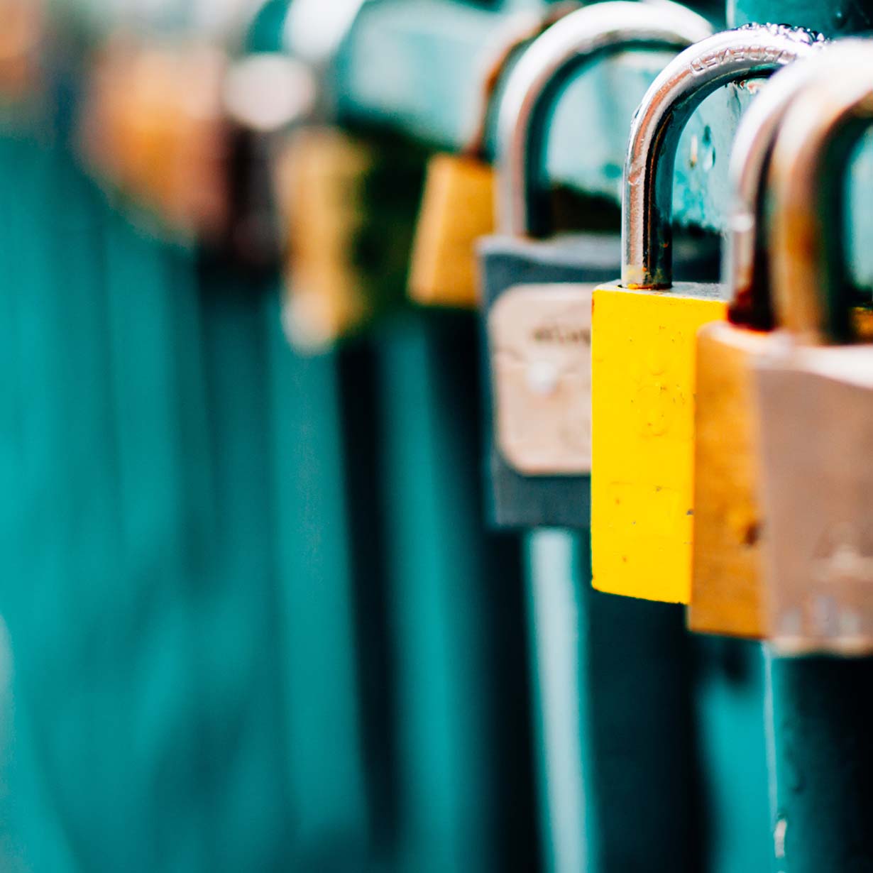 Row of several padlocks chained to fence