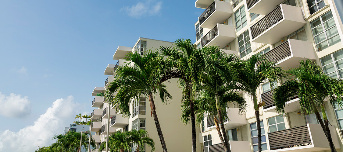 A building with palm trees in front of it