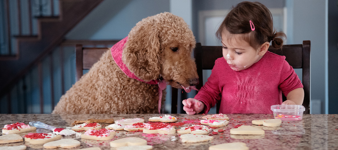 A little girl decorating cookies with a dog.