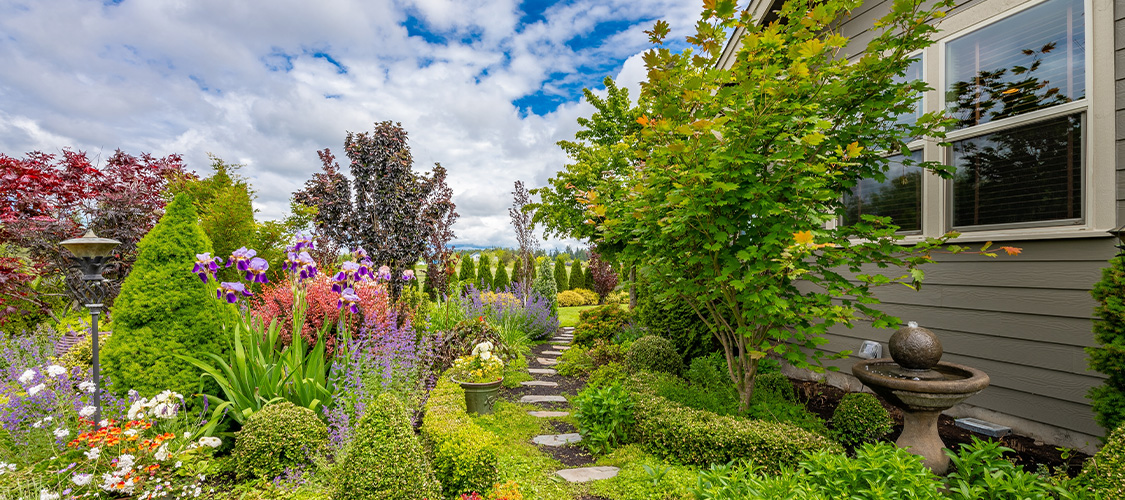 A well-kept backyard and garden