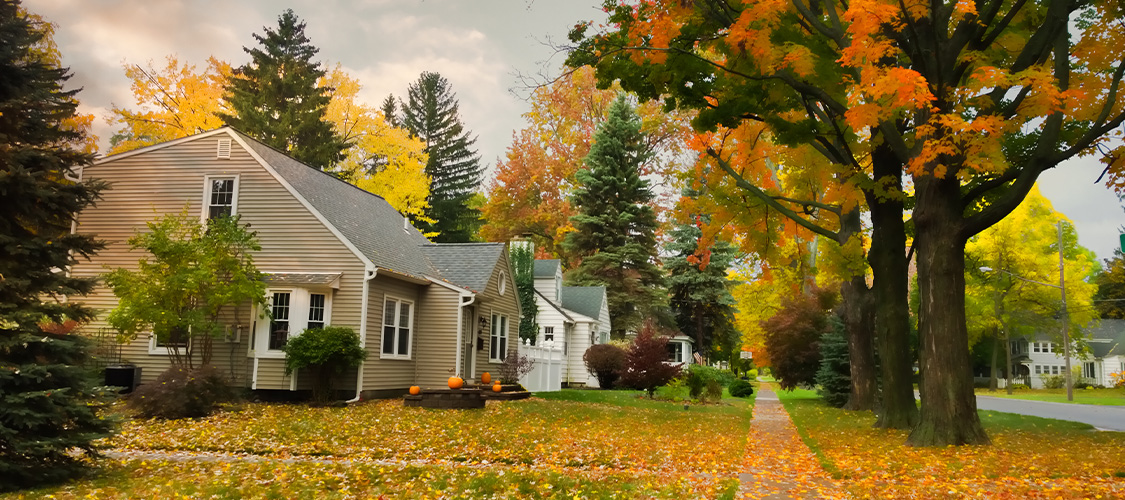 Neighborhood with fall foliage