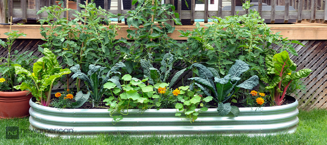 A vegetable garden in an outdoor container.