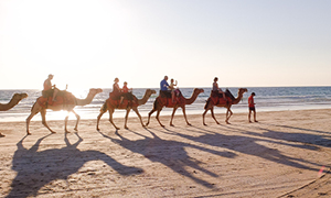 Simbolna fotografija turistične odprave na kamelah na obali v Tuniziji.