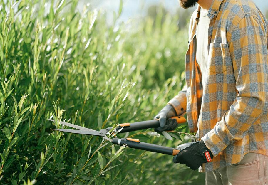 Close-up of a person wearing protective gloves and using garden shears to trim green foliage.