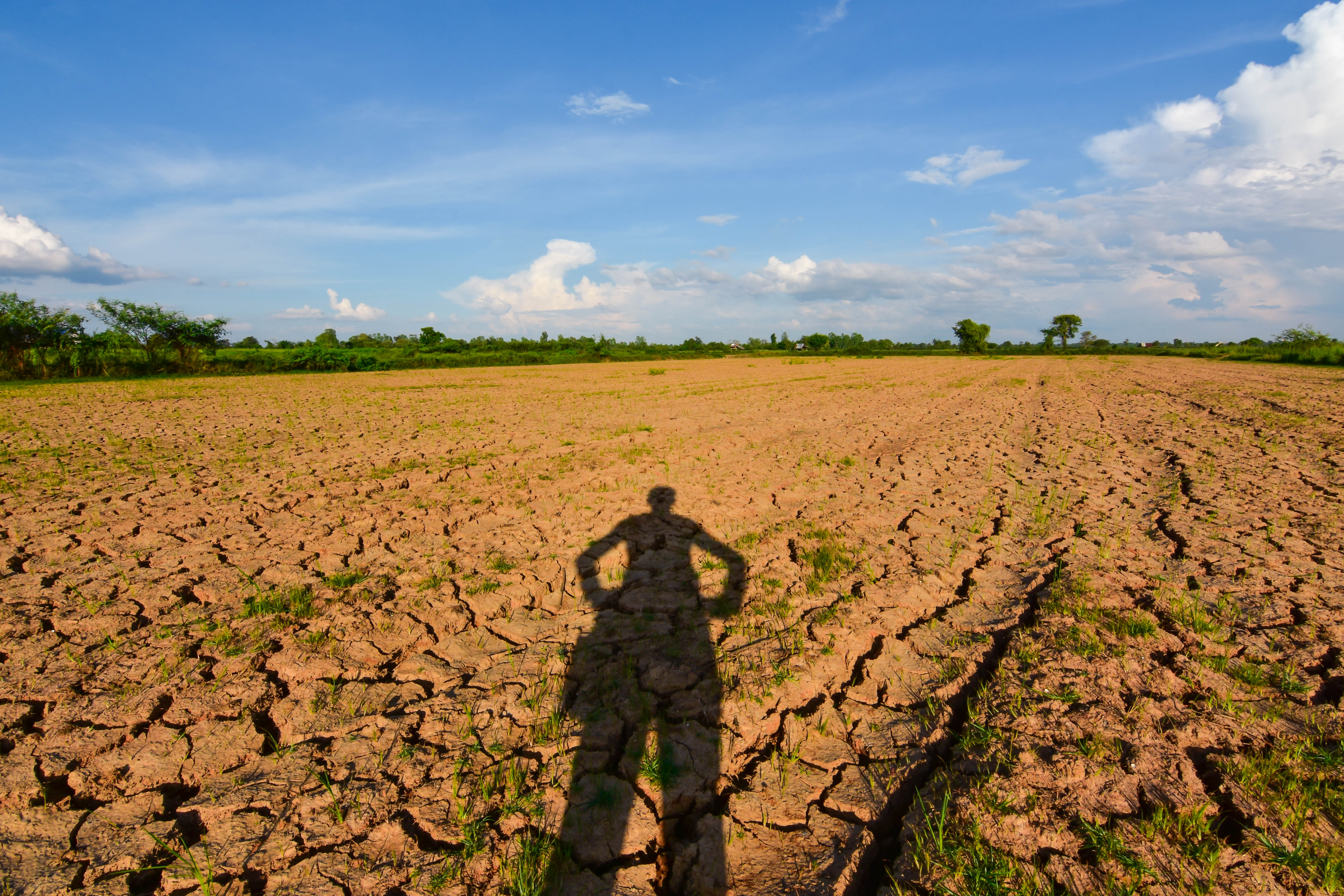 A photo showing a cracked, dry, sunbaked field under a hazy sky.