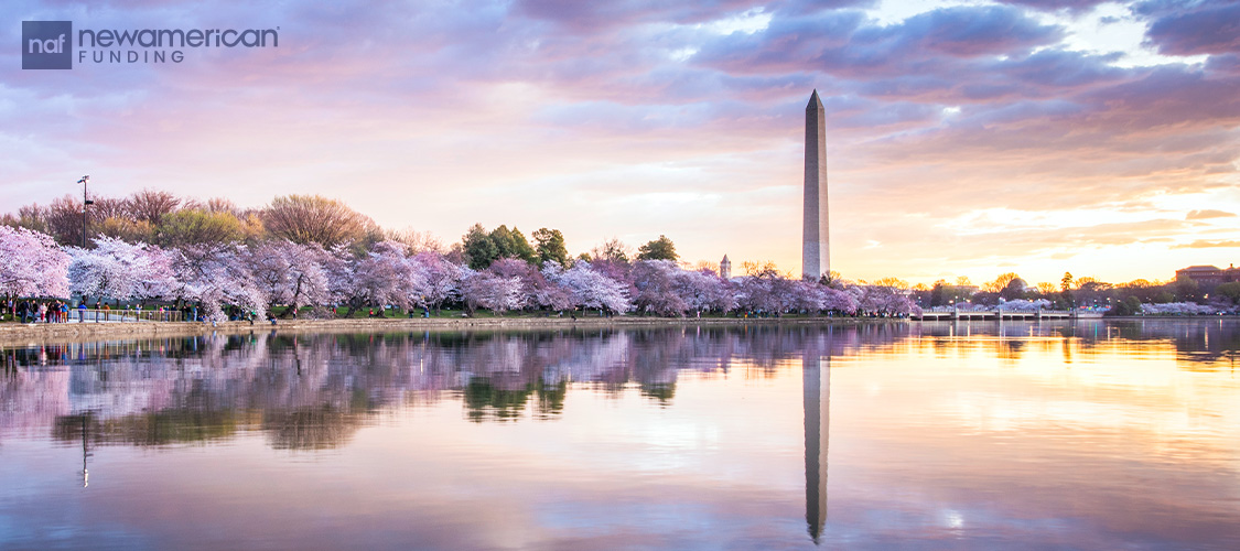 The Washington Monument