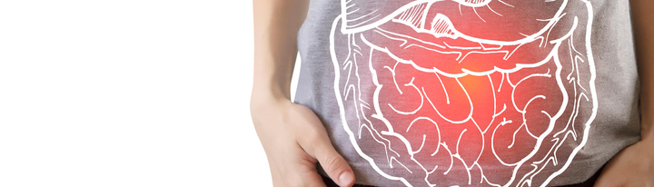 Illustration of stomach anatomy.