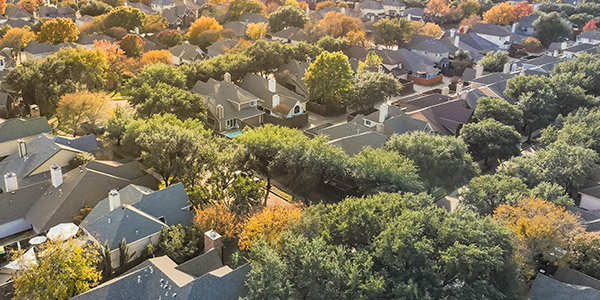 dallas, texas neighborhood