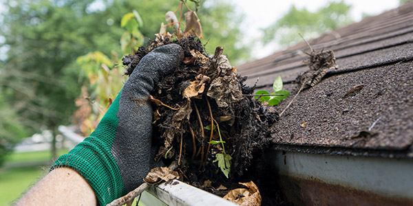 cleaning gutters