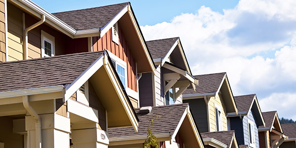 neighborhood roofs