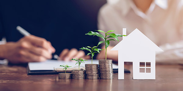 graphic of a plant growing from ascending stacks of coins symbolizing home equity growth