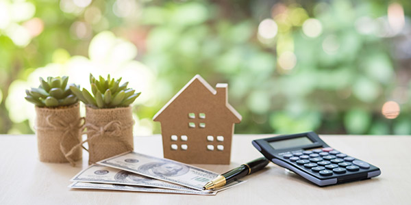 A desk with hundred dollar bills, a small model of a house, and some plants on it