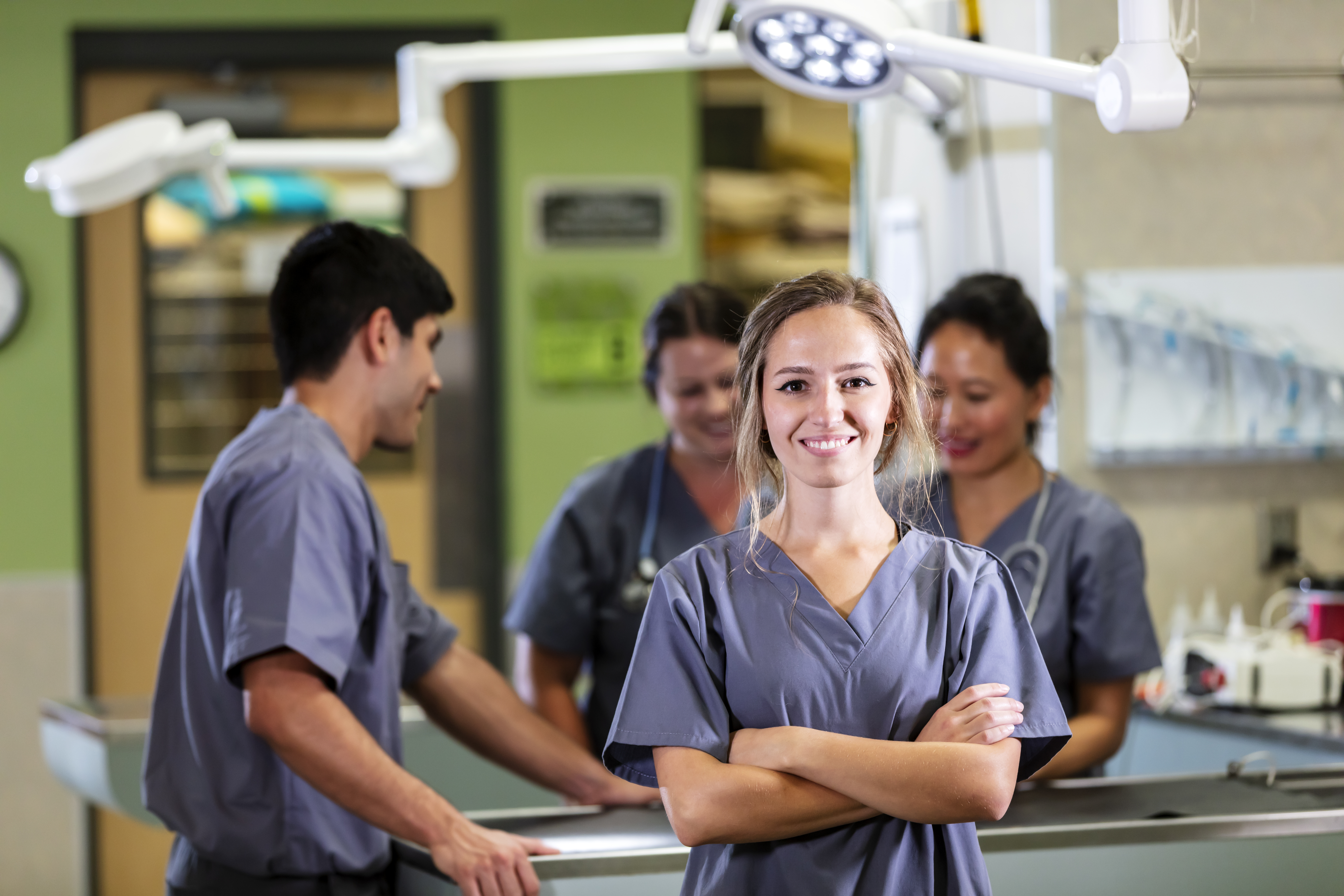 veterinarian_veterinary team_iStock-1362837971.jpg