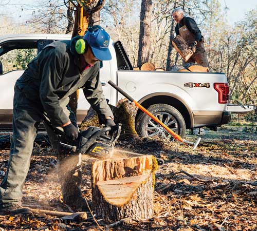 Two gentlemen outdoors. One on a truck loading wood and another cutting wood with a saw
