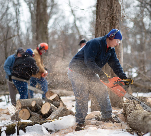 Several men outdoors chopping wood with chainsaws