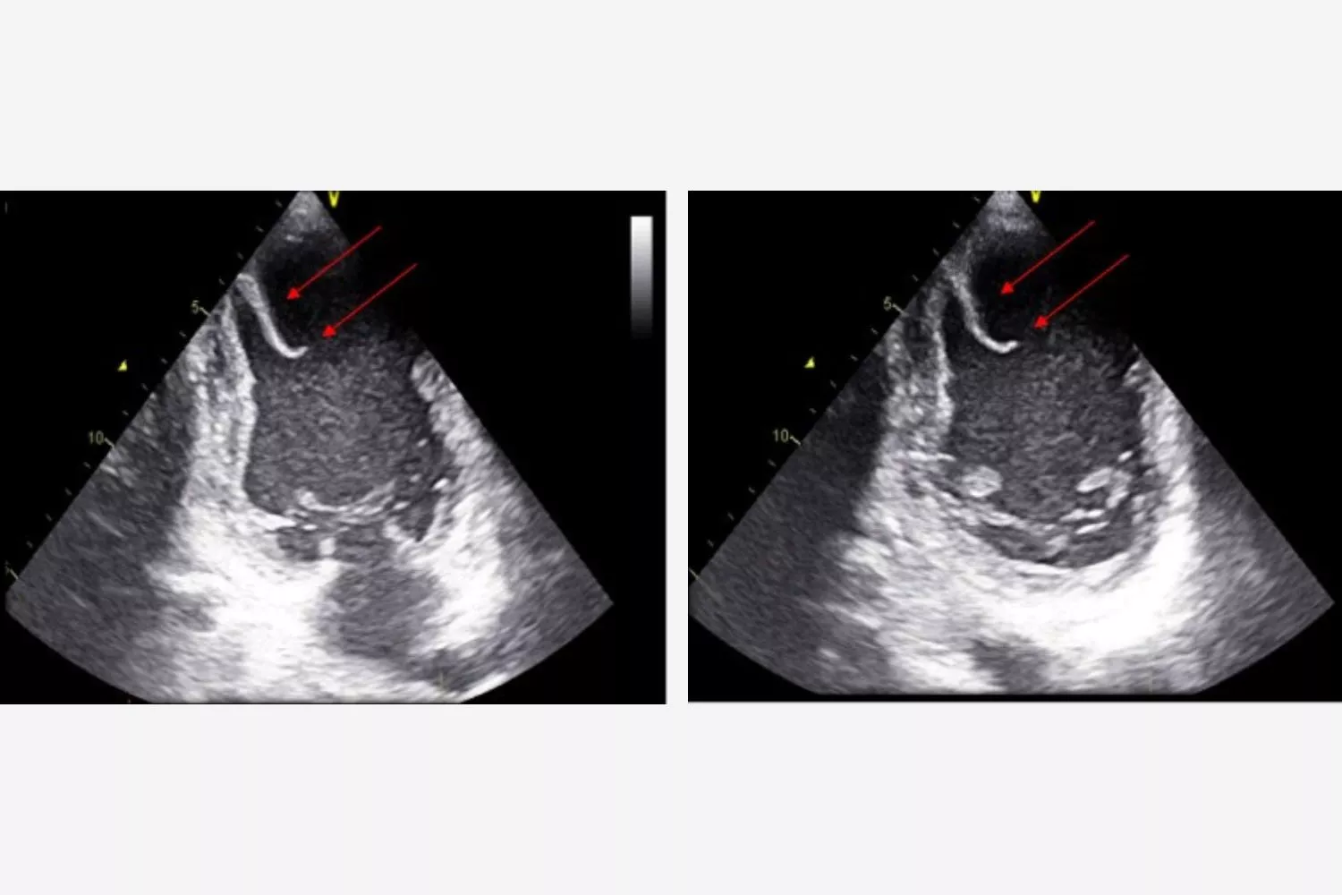 Image of the Week - 5 November 2025